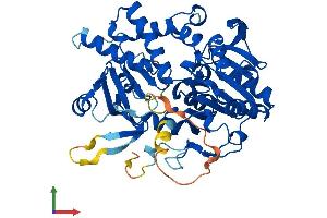 Protein Structure (PS) image for 5'-Nucleotidase Domain Containing 1 (NT5DC1) (AA 1-455) protein (His tag) (ABIN7549941)