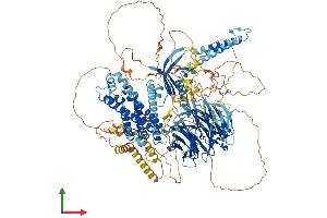 Protein Structure (PS) image for rho Guanine Nucleotide Exchange Factor (GEF) 10-Like (ARHGEF10L) (AA 1-1279) protein (His tag) (ABIN7552318)