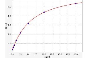 Typical standard curve (CDK4 ELISA 试剂盒)
