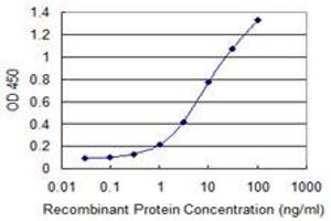 Detection limit for recombinant GST tagged ETV4 is 0. (ETV4 抗体  (AA 1-207))