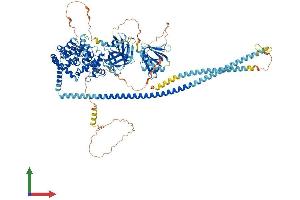 Protein Structure (PS) image for RAB GTPase Activating Protein 1 (RABGAP1) (AA 1-1069) protein (His tag) (ABIN7555119)