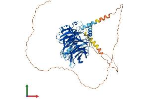 Protein Structure (PS) image for DDB1 and CUL4 Associated Factor 8 (DCAF8) (AA 1-591) protein (His tag) (ABIN7559591)