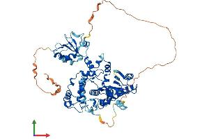 Protein Structure (PS) image for Polymerase (DNA Directed), lambda (POLL) (AA 1-573) protein (His tag) (ABIN7561746)