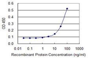 Detection limit for recombinant GST tagged GK2 is 3 ng/ml as a capture antibody. (GK2 抗体  (AA 1-553))