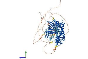 Protein Structure (PS) image for Spermatogenesis Associated 13 (SPATA13) (AA 1-656) protein (His tag) (ABIN7563812)