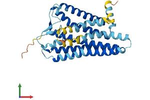 Protein Structure (PS) image for Olfactory Receptor, Family 7, Subfamily A, Member 17 (OR7A17) (AA 1-309) protein (His tag) (ABIN7550315)