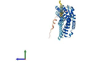 Protein Structure (PS) image for Opiate Receptor-Like 1 (OPRL1) (AA 1-370) protein (His tag) (ABIN7554815)