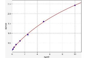 Typical standard curve (TNFRSF10A ELISA 试剂盒)