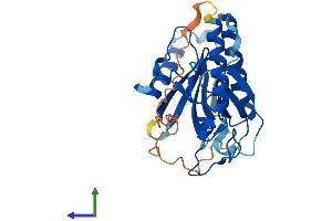 Protein Structure (PS) image for Pleckstrin Homology Domain Containing, Family F (With FYVE Domain) Member 1 (PLEKHF1) (AA 1-279) protein (His tag) (ABIN7557048)
