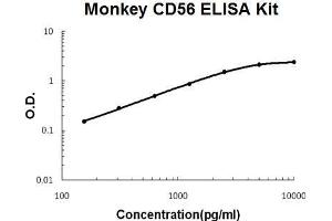 Monkey Primate CD56/NCAM-1 PicoKine ELISA Kit standard curve (CD56 ELISA 试剂盒)