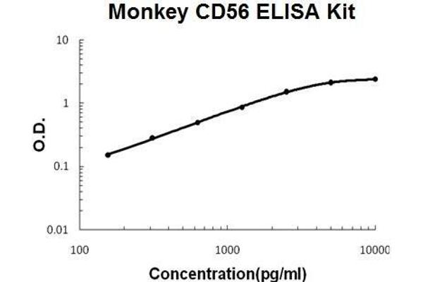 CD56 ELISA Kit