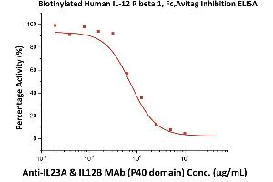 Immobilized Human IL-12B, His Tag (ABIN2181334,ABIN3071755,ABIN6810016) at 2 μg/mL (100 μL/well), can bind  increasing concentrations of A & IL12B MAb (P40 domain) and 0. (IL12RB1 Protein (AA 24-540) (Fc Tag,AVI tag,Biotin))