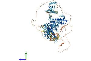 Protein Structure (PS) image for Ras Protein-Specific Guanine Nucleotide-Releasing Factor 1 (RASGRF1) (AA 1-1262) protein (His tag) (ABIN7563028)