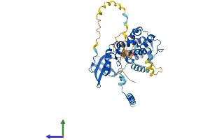 Protein Structure (PS) image for Mitogen-Activated Protein Kinase-Activated Protein Kinase 2 (MAPKAPK2) (AA 1-400) protein (His tag) (ABIN7554515)