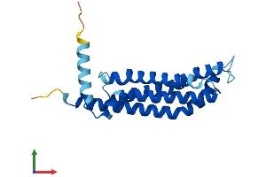 AlphaFold protein structure predicition of Mouse Recombinant Tmem126a Protein, UniprotID Q9D8Y1
