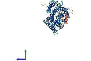 Protein Structure (PS) image for Solute Carrier Family 38 Member 3 (SLC38A3) (AA 1-505) protein (His tag) (ABIN7561345)