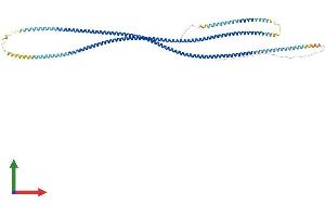 Protein Structure (PS) image for Testis Specific, 10 (TSGA10) (AA 1-698) protein (His tag) (ABIN7544869)
