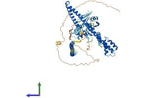 AlphaFold protein structure predicition of Human Recombinant ENOX1 Protein, UniprotID Q8TC92