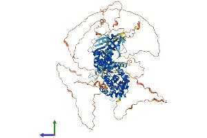 Protein Structure (PS) image for Ral Guanine Nucleotide Dissociation Stimulator (RALGDS) (AA 1-914) protein (His tag) (ABIN7554041)