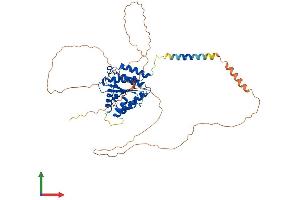 Protein Structure (PS) image for Torsin A Interacting Protein 2 (TOR1AIP2) (AA 1-502) protein (His tag) (ABIN7559023)