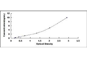 Typical standard curve (SLC7A11 ELISA 试剂盒)