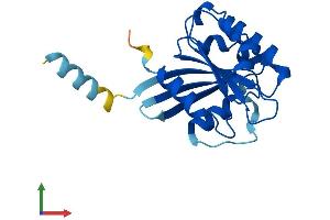 Protein Structure (PS) image for ADP-Ribosylation Factor-Like 8B (ARL8B) (AA 1-186) protein (His tag) (ABIN7560583)