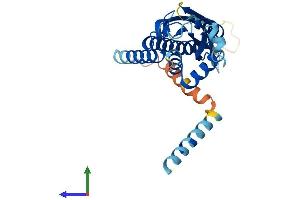 Protein Structure (PS) image for Centromere Protein P (CENPP) (AA 1-288) protein (His tag) (ABIN7553416)