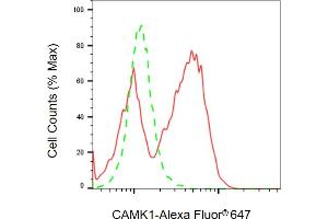 Flow cytometric analysis of CAMK1 expression in HeLa cells using CAMK1 antibody ( (ABIN7797831), 1:2,000). (Recombinant CAMK1 抗体)