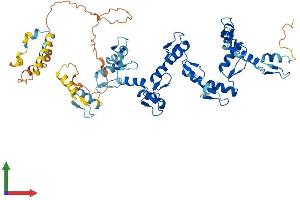 AlphaFold protein structure predicition of Human Recombinant ZNF136 Protein, UniprotID P52737 (ZNF136 Protein (AA 1-540) (His tag))