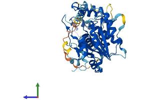 Protein Structure (PS) image for UDP-GlcNAc:betaGal beta-1,3-N-Acetylglucosaminyltransferase 8 (B3GNT8) (AA 1-397) protein (His tag) (ABIN7552524)