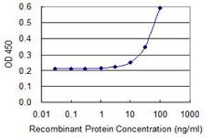 Detection limit for recombinant GST tagged MNDA is 3 ng/ml as a capture antibody. (MNDA 抗体  (AA 311-407))