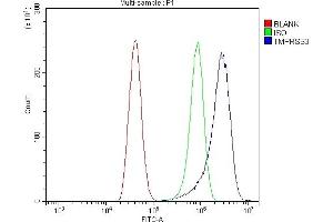 Flow Cytometry analysis of A431 cells using anti-TMPRSS3 antibody (ABIN7601198). (TMPRSS3 抗体  (AA 3-454))
