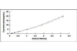 Typical standard curve (AMY2A ELISA 试剂盒)