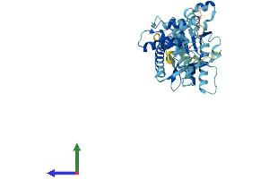 Protein Structure (PS) image for Proteasome (Prosome, Macropain) 26S Subunit, ATPase, 4 (PSMC4) (AA 1-418) protein (His tag) (ABIN7556170)
