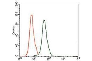 Flow cytometric analysis of HeLa cells using MAPK8 mouse mAb (green) and negative control (red). (JNK 抗体)