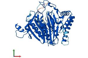 Protein Structure (PS) image for Secernin 2 (SCRN2) (AA 1-425) protein (His tag) (ABIN7545862)