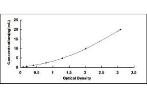 Typical standard curve (KIF18A ELISA 试剂盒)