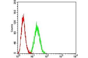 Flow cytometric analysis of THP-1 cells using CD85G mouse mAb (green) and negative control (red).