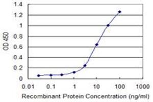 Detection limit for recombinant GST tagged AGTPBP1 is 0. (AGTPBP1 抗体  (AA 1087-1186))