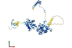 Protein Structure (PS) image for BRF2, Subunit of RNA Polymerase III Transcription Initiation Factor, BRF1-Like (BRF2) (AA 1-420) protein (His tag) (ABIN7557161)