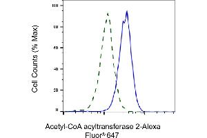 Validation of Acetyl-CoA acyltransferase 2 knockdown using flow cytometry. (Recombinant ACAA2 抗体)