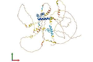 Protein Structure (PS) image for Aristaless Related Homeobox (ARX) (AA 1-562) protein (His tag) (ABIN7552342)