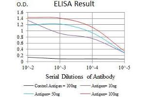 Black line: Control Antigen (100 ng), Purple line: Antigen(10 ng), Blue line: Antigen (50 ng), Red line: Antigen (100 ng), (MEF2C 抗体  (AA 1-125))