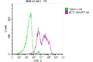Flow Cytometry (FACS) image for anti-Tumor Necrosis Factor Receptor Superfamily, Member 17 (TNFRSF17) (AA 1-54) antibody (ABIN7172256)