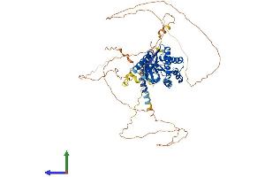 Protein Structure (PS) image for Calcium Channel, Voltage-Dependent, beta 2 Subunit (CACNB2) (AA 1-655) protein (His tag) (ABIN7559242)