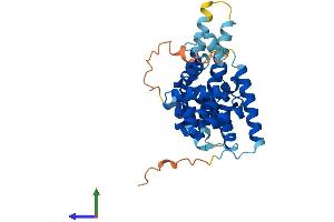 AlphaFold protein structure predicition of Human Recombinant CNTD1 Protein, UniprotID Q8N815