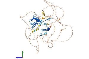 AlphaFold protein structure predicition of Mouse Recombinant Bach1 Protein, UniprotID P97302