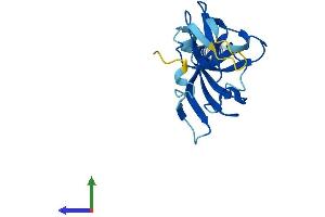 AlphaFold protein structure predicition of Mouse Recombinant Immp1l Protein, UniprotID Q9CQU8
