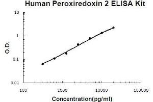 Human Peroxiredoxin 2 PicoKine ELISA Kit standard curve (Peroxiredoxin 2 ELISA 试剂盒)