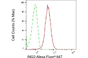 Flow cytometric analysis of ING2 expression in HepG2 cells using ING2 antibody (ABIN7799032), 1:2,000). (Recombinant ING2 抗体)